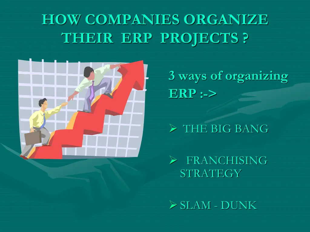 how companies organize their erp projects
