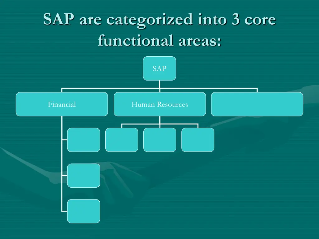 sap are categorized into 3 core functional areas