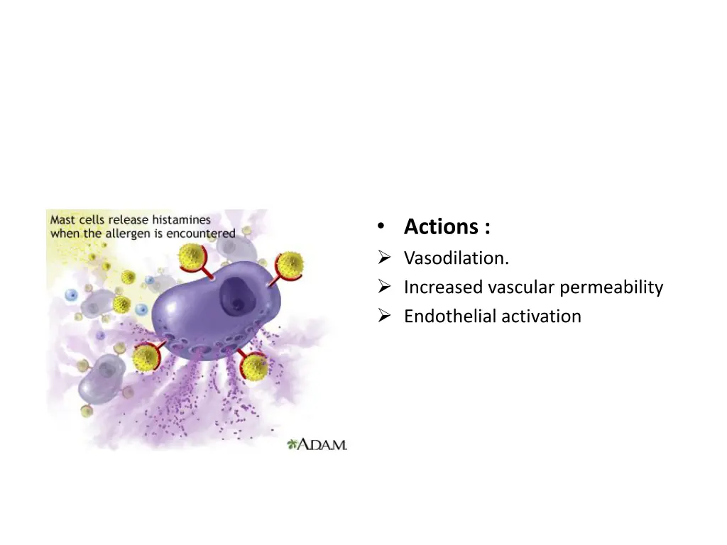 actions vasodilation increased vascular