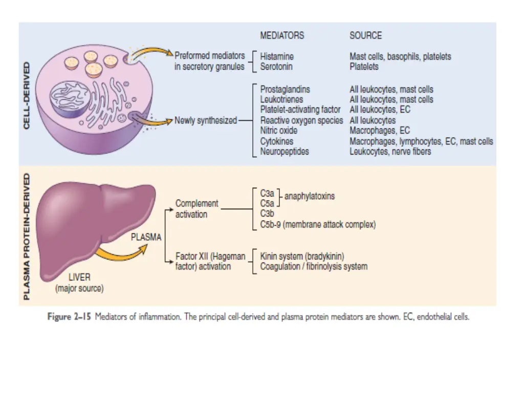 slide6