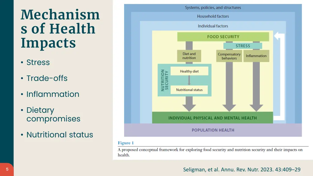 mechanism s of health impacts