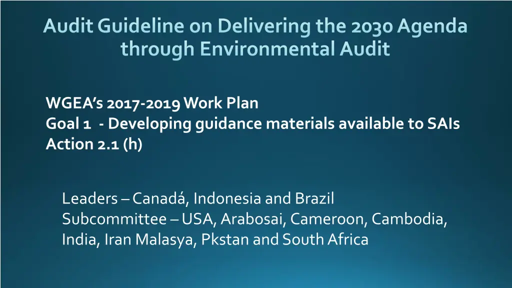 audit guideline on delivering the 2030 agenda