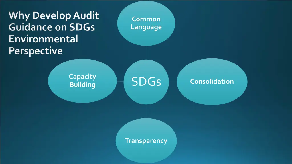 why develop audit guidance on sdgs environmental