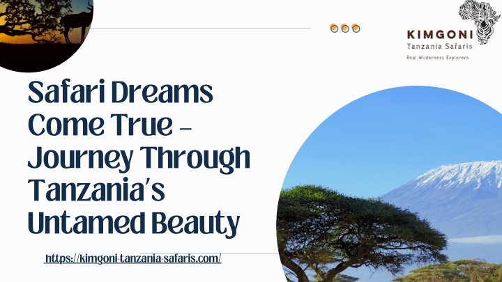 safari dreams come true journey through tanzania