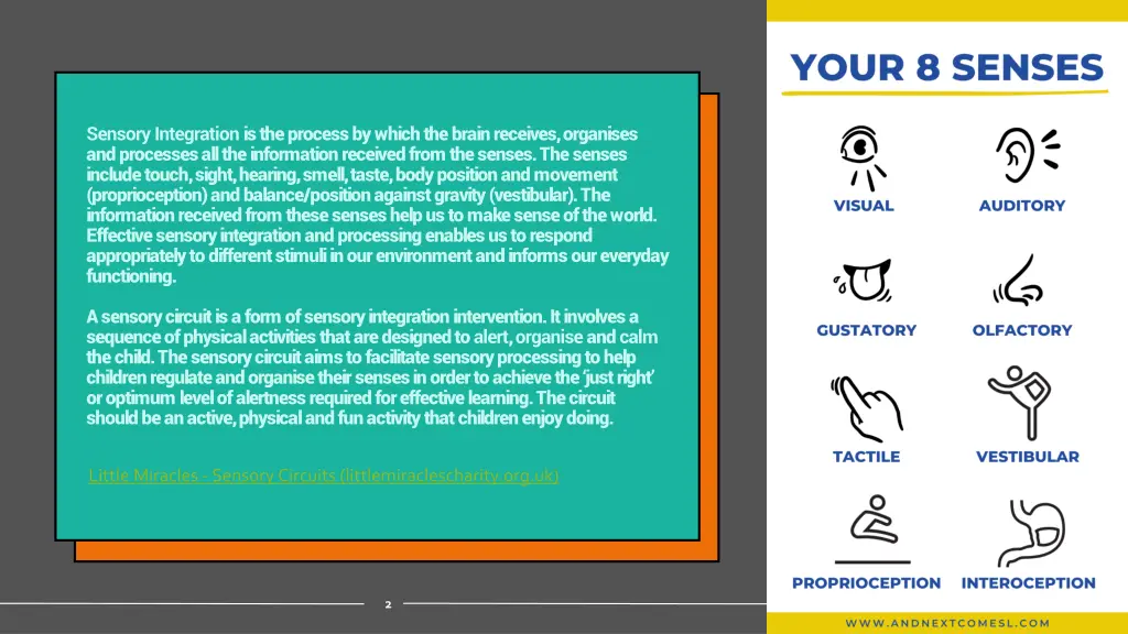 sensory integration is the process by which