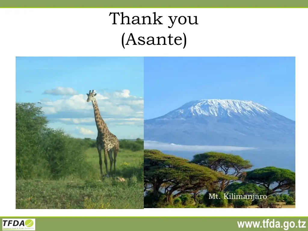 thank you asante