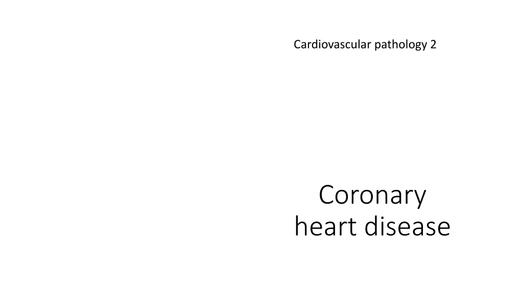 cardiovascular pathology 2