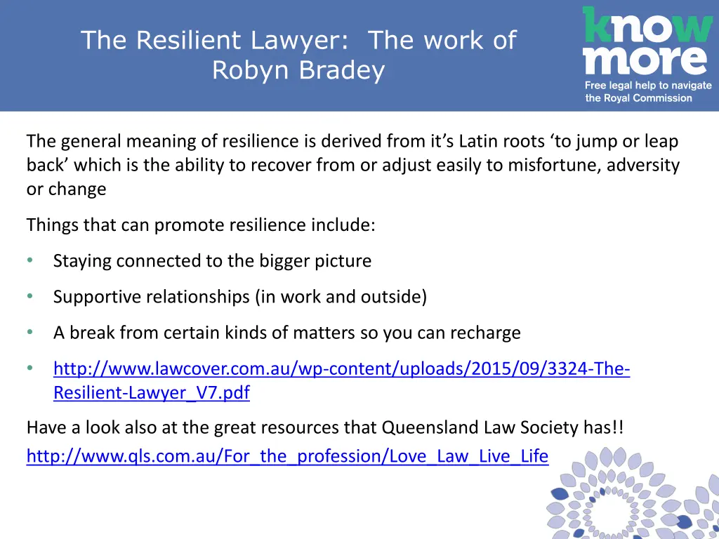 the resilient lawyer the work of robyn bradey