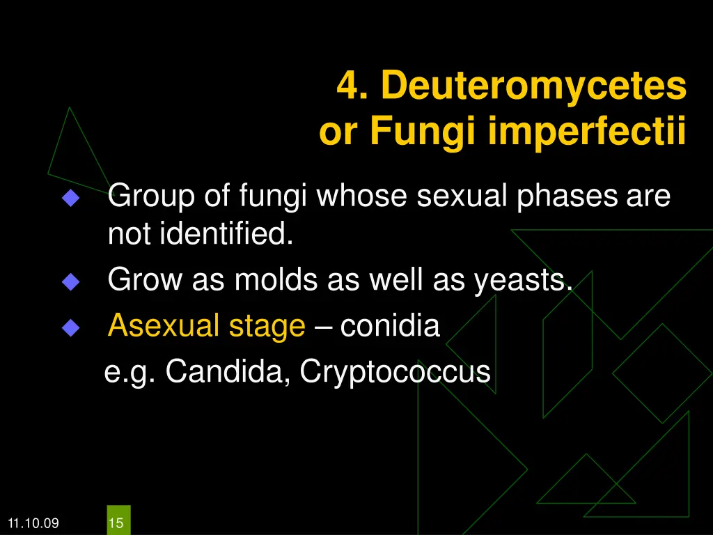 4 deuteromycetes or fungi imperfectii