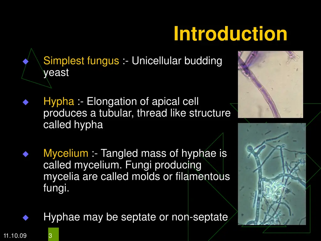 introduction 1