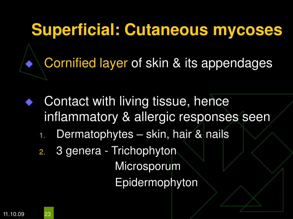 superficial cutaneous mycoses