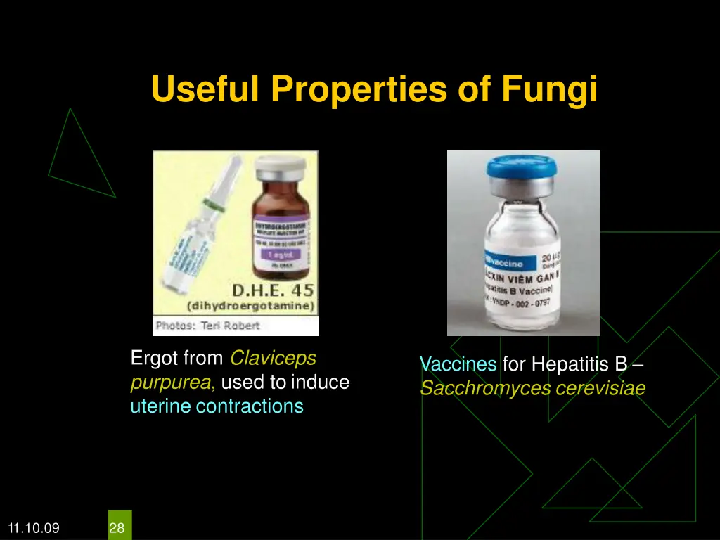 useful properties of fungi 1