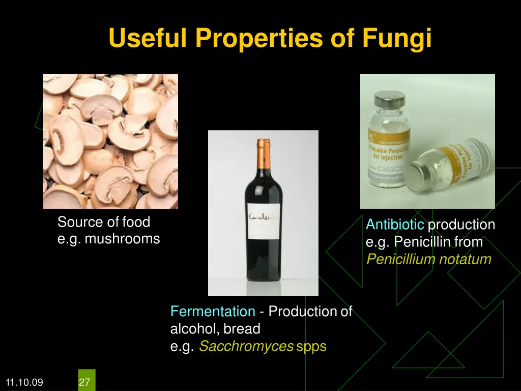 useful properties of fungi