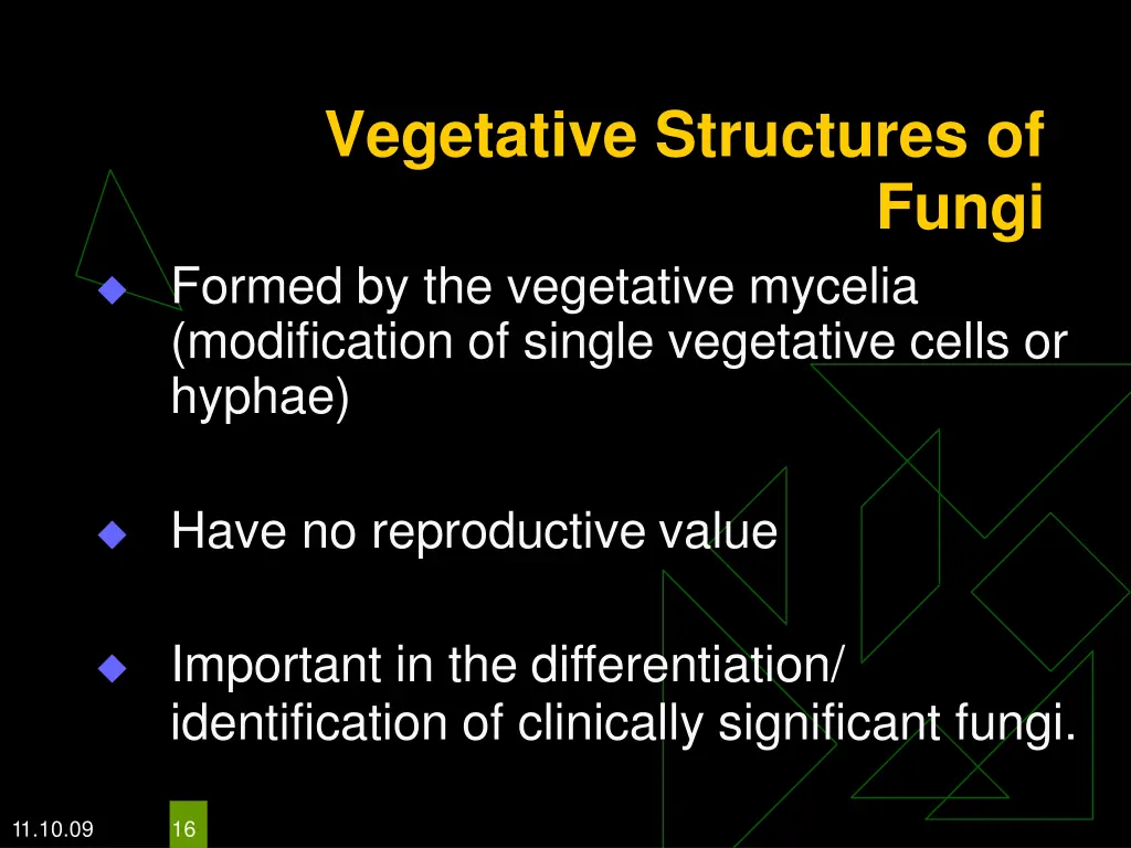 vegetative structures of