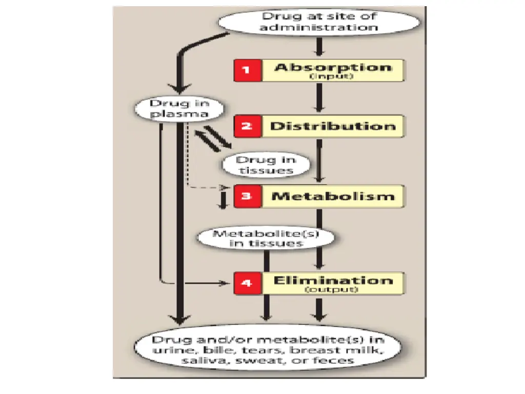 slide15