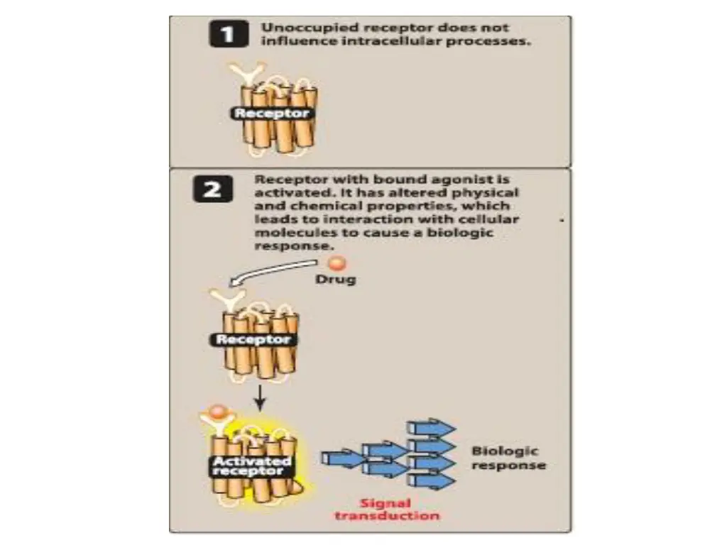 slide7