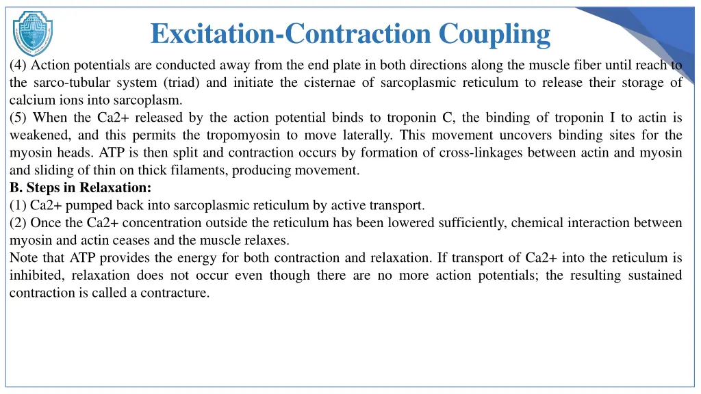 excitation contraction coupling 4 action