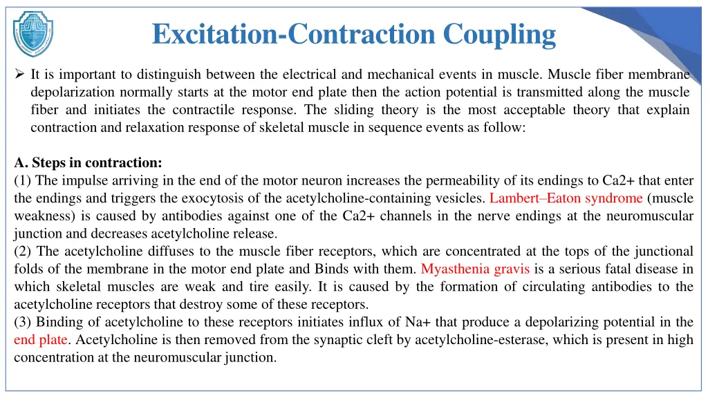 excitation contraction coupling