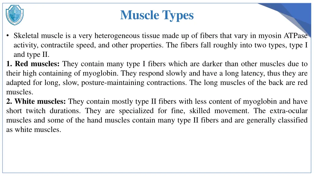 muscle types