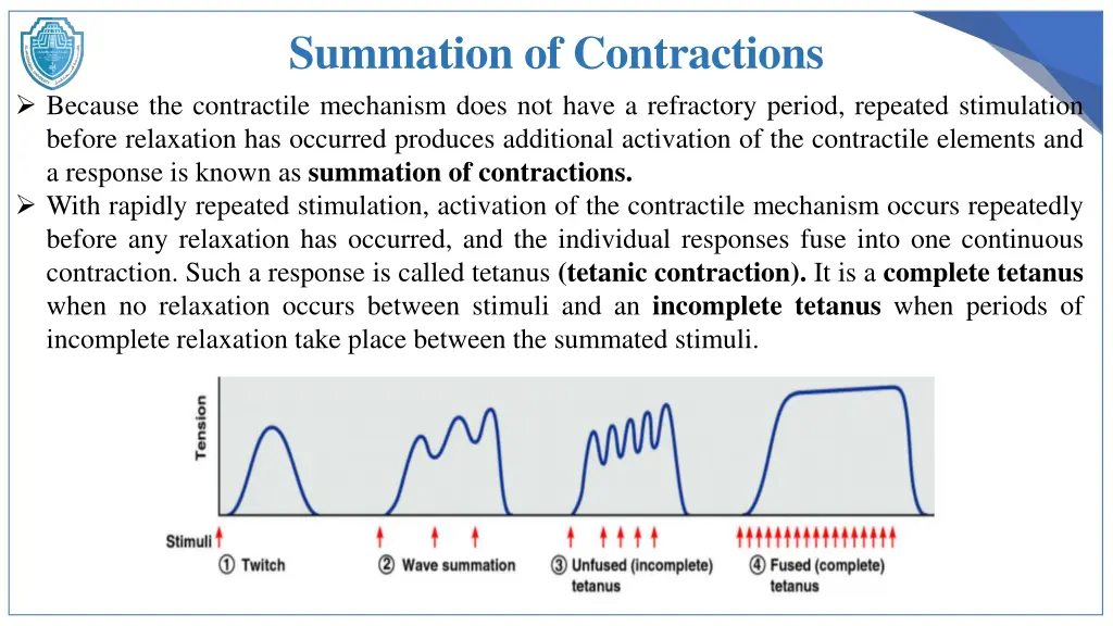 summation of contractions