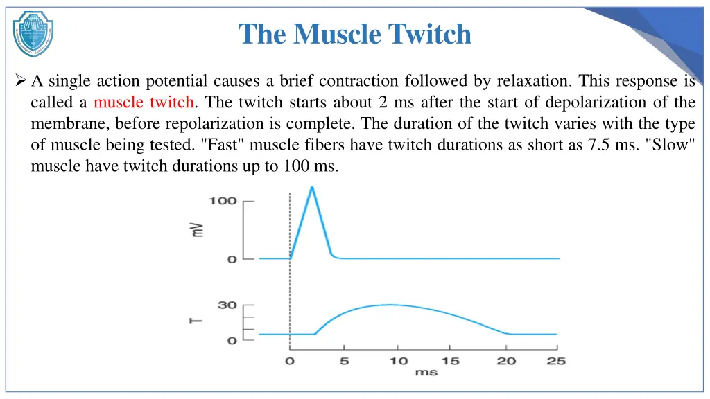 the muscle twitch