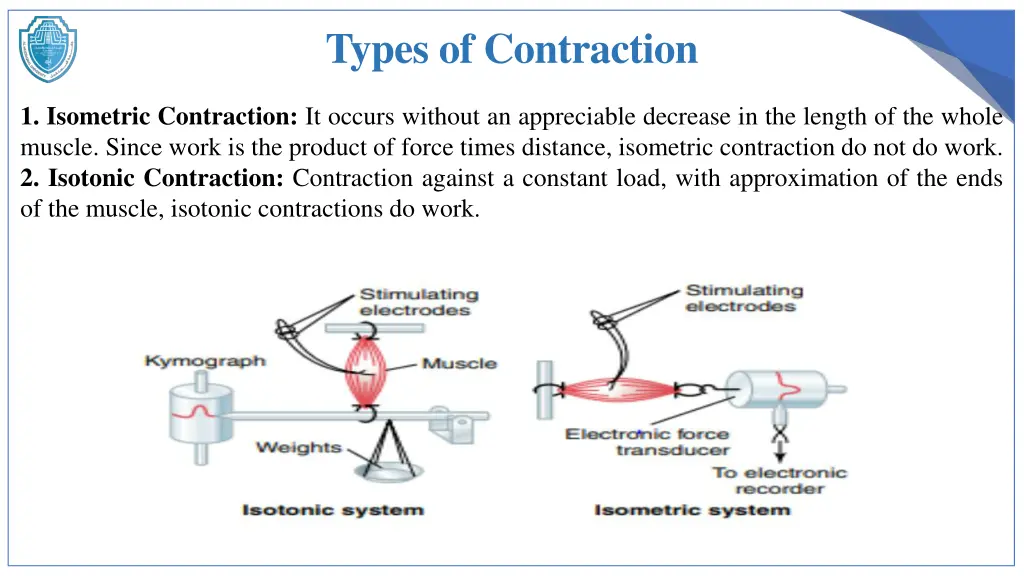 types of contraction