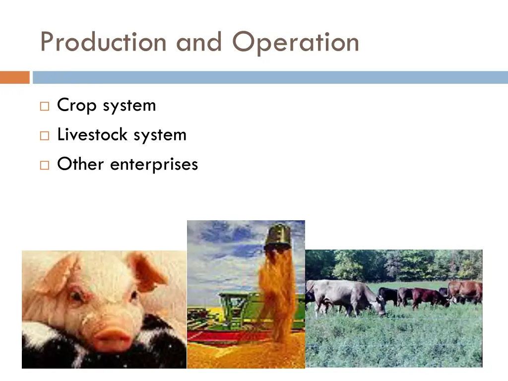 production and operation