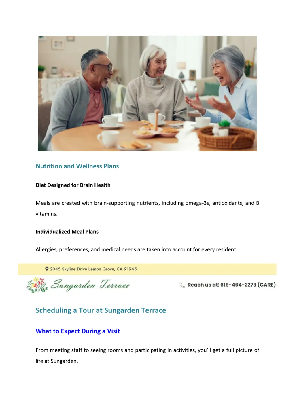 nutrition and wellness plans