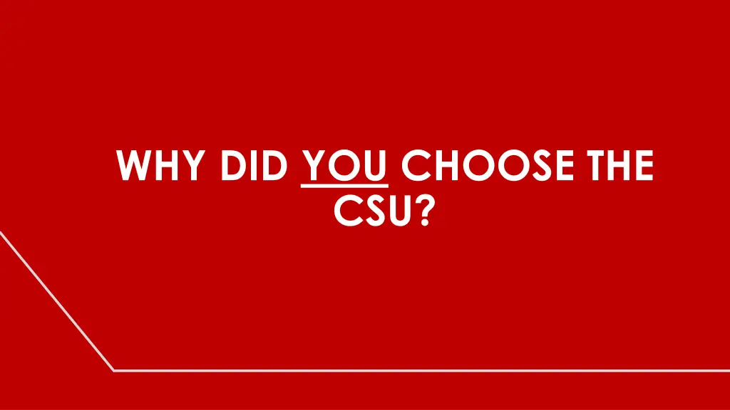 why did you choose the csu