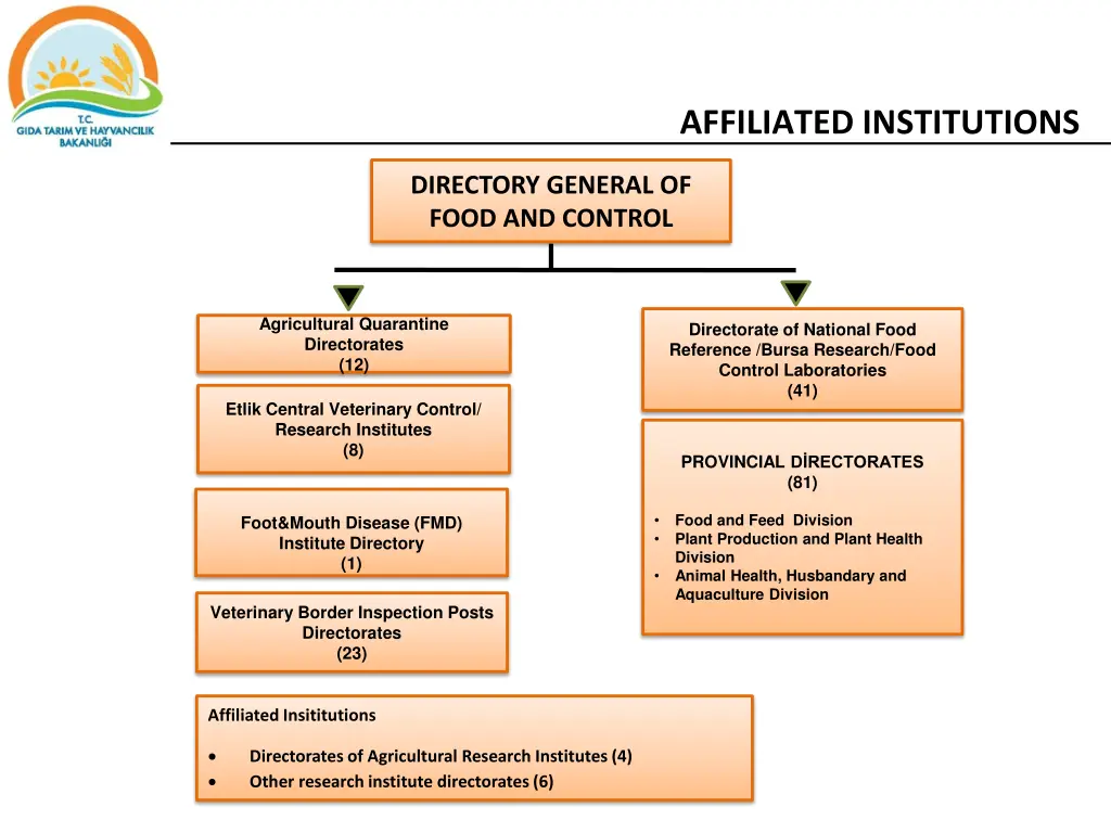 affiliated institutions