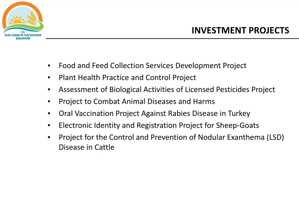 investment projects