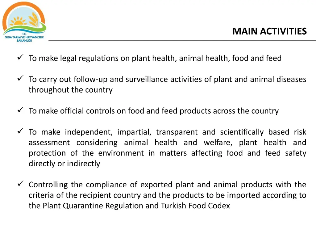 main activities
