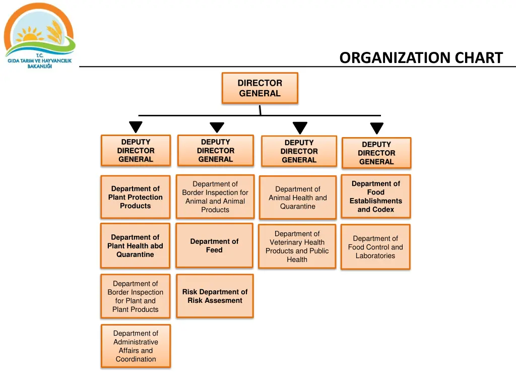 organization chart
