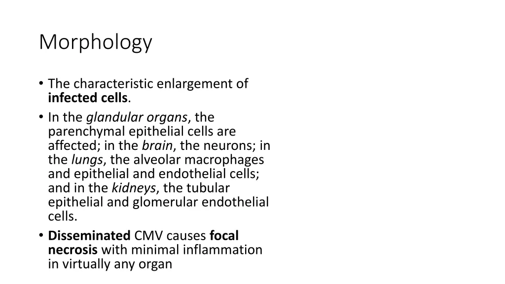 morphology 1