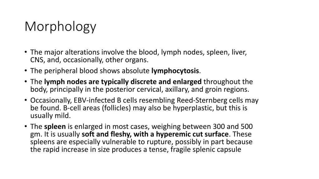 morphology 2