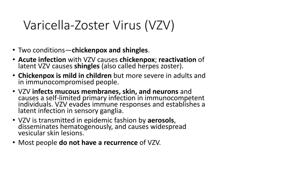 varicella zoster virus vzv