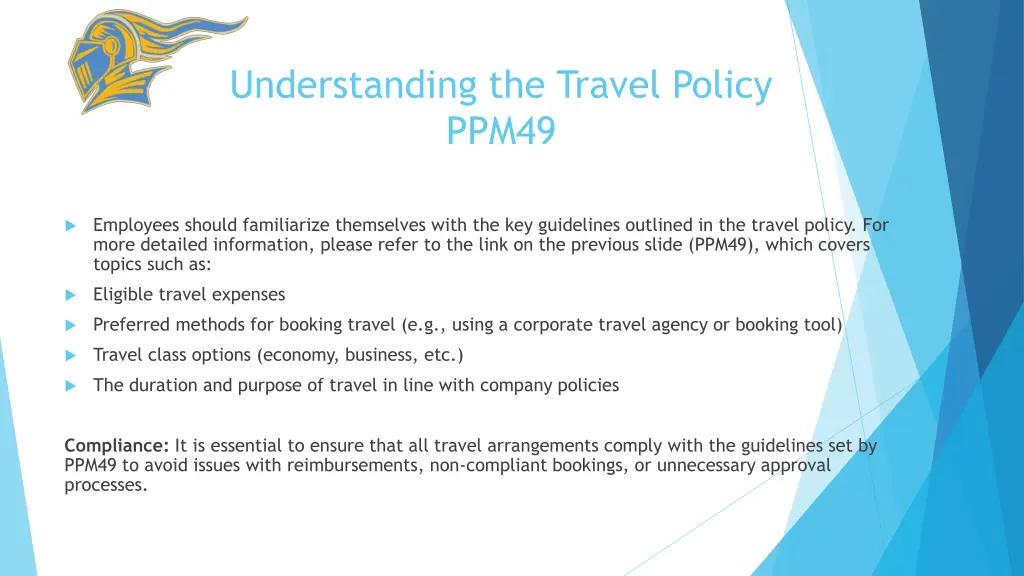 understanding the travel policy ppm49
