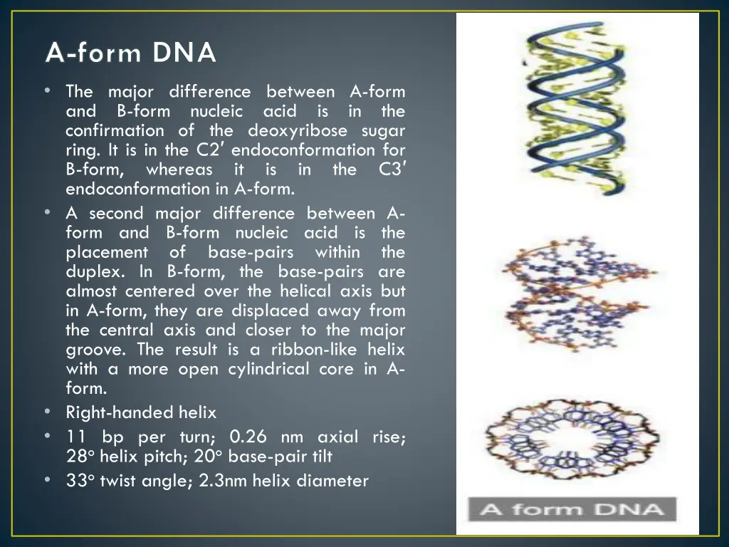 a form dna the major difference between a form
