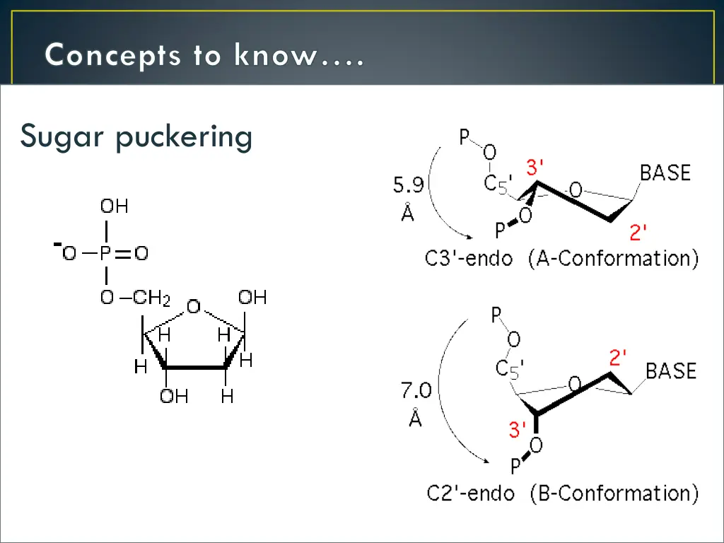 concepts to know