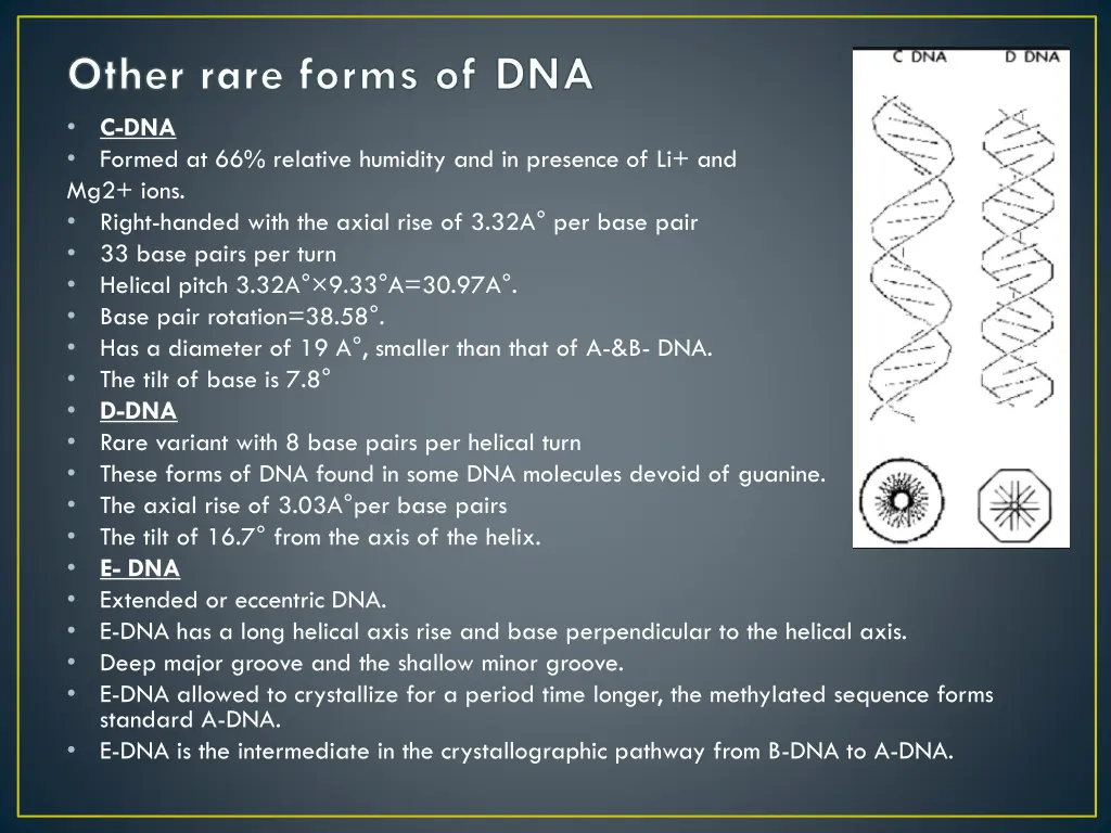 other rare forms of dna c dna formed
