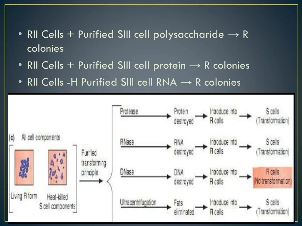 rii cells purified siii cell polysaccharide