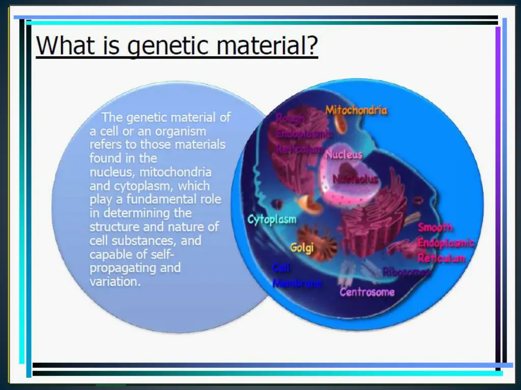 slide12