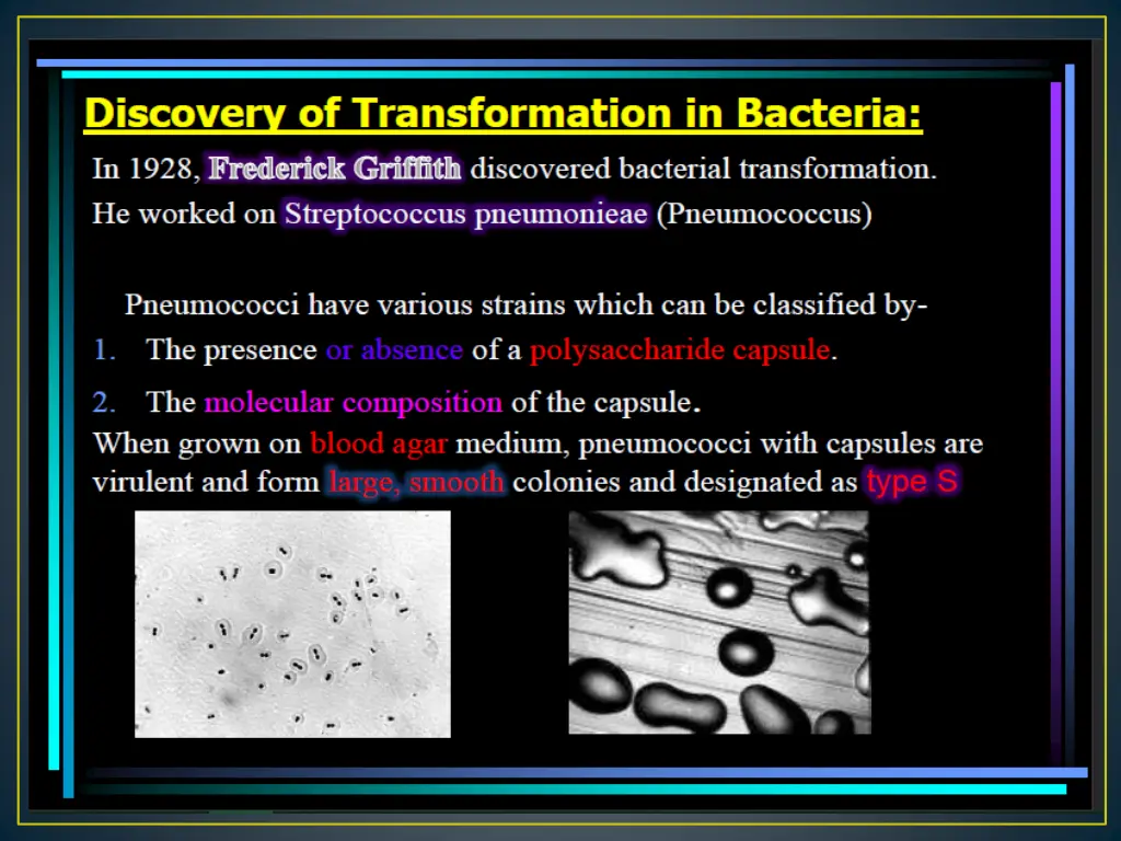slide14