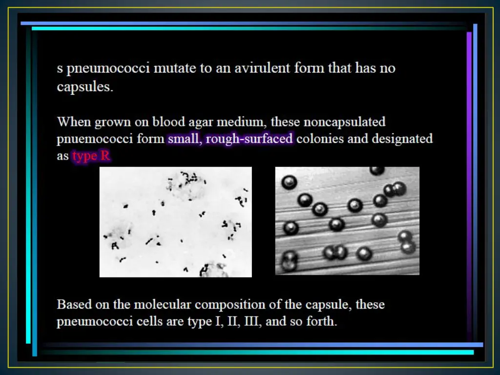 slide15