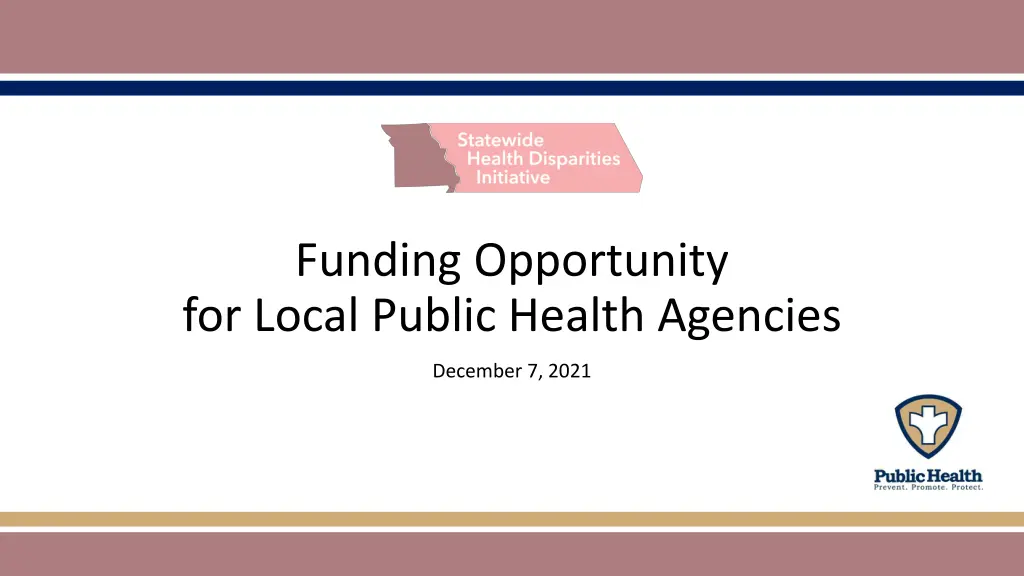 funding opportunity for local public health