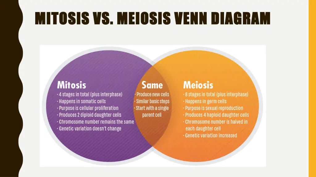 mitosis vs meiosis venn diagram mitosis