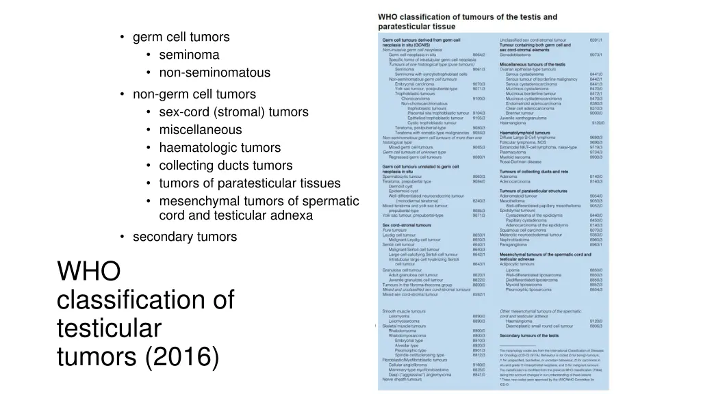 germ cell tumors seminoma non seminomatous
