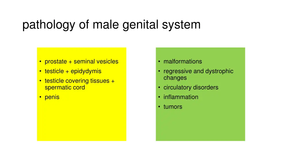 pathology of male genital system