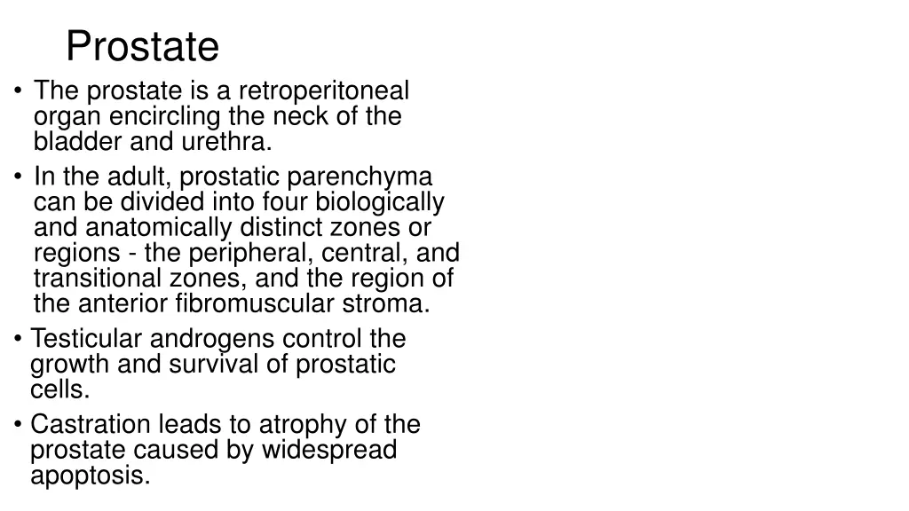 prostate the prostate is a retroperitoneal organ