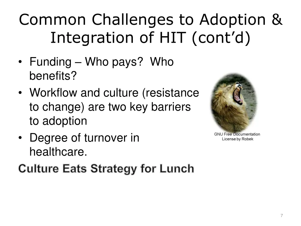 common challenges to adoption integration
